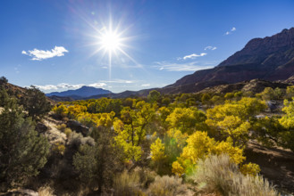 USA, Utah, Springdale, Sun shining above Virgin River and trees