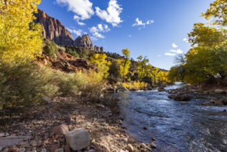 USA, Utah, Springdale, Virgin River and trees on sunny day