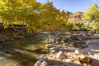 USA, Utah, Springdale, Virgin River and trees on sunny day