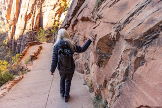 USA, Utah, Zion National Park, Rear view of female hiker touching sandstone cliff on trail to