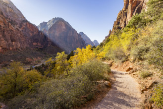 USA, Utah, Zion National Park, Trail to Angels Landing on sunny day