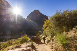 USA, Utah, Zion National Park, Rear view of female hiker on trail to Angels Landing