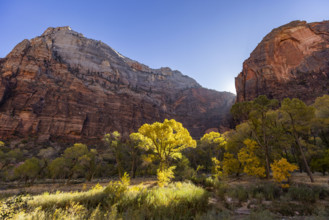 USA, Utah, Zion National Park, Trail to Angels Landing on sunny day