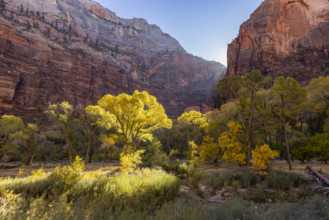 USA, Utah, Zion National Park, Trail to Angels Landing on sunny day