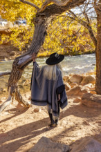 USA, Utah, Zion National Park, Rear view of woman in poncho and hat standing by tree along Virgin
