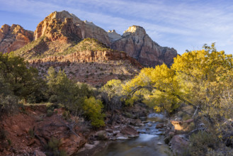 USA, Utah, Zion National Park, Rock formations and trees in autumn foliage along Virgin River