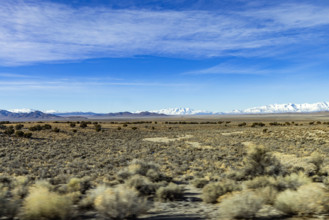 USA, Idaho, Bellevue, Grassy field with snow covered mountains in distance