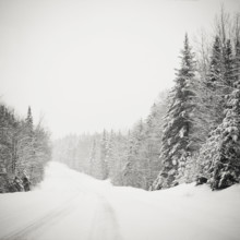 USA, New York, Lake Placid, Snow-covered State Route 86 and trees