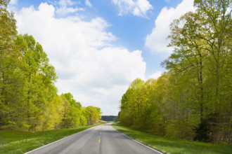 USA, Tennessee, Primm Springs, Empty treelined Natchez Trace Parkway in summer