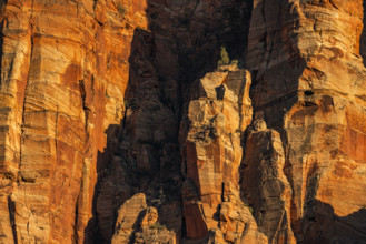 USA, Utah, Zion National Park, Close-up of red sandstone cliffs at sunset