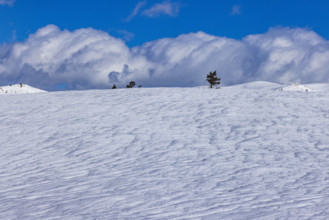 USA, Idaho, Fairfield, White clouds above snow covered field