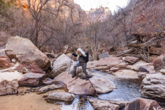 USA, Utah, Zion National Park, Female hiker crossing creek in Zion National Park