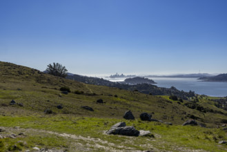 USA, California, Tiburon, San Francisco skyline from Ring Mountain