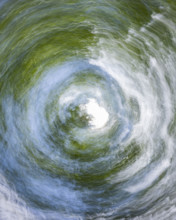 Spiral motion blur image looking upwards at trees and sky. Bellevue, Idaho, USA.