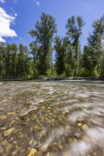 Surface view of motion blurred water in Big Wood River. Bellevue, Idaho, USA.