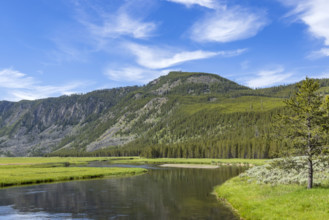 Madison River and mountains on sunny day. , Wyoming, USA.