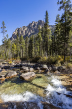 Redfish Creek on sunny day, blurred motion. Stanley, Idaho, USA.