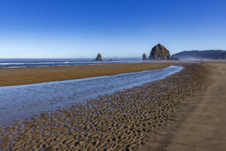 Cannon Beach at low tide with Haystack Rock in background. , Oregon, USA.