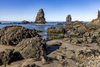 Cannon Beach rock formations at low tide. , Oregon, USA.