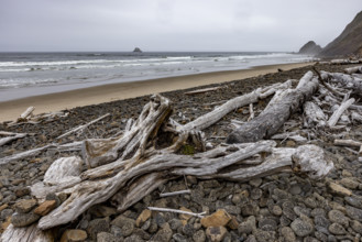 Driftwood and pebbles on empty beach. , Oregon, USA.