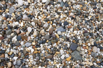 Close-up of pebbles on beach. Nantucket, Massachusetts, USA.