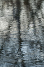 Rippled surface of spring creek with reflections. Bellevue, Idaho, USA.