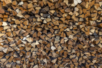 Close-up of firewood stacked for winter. Bellevue, Idaho, USA.