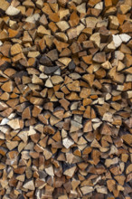 Close-up of firewood stacked for winter. Bellevue, Idaho, USA.