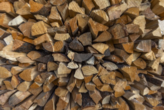 Close-up of firewood stacked for winter. Bellevue, Idaho, USA.