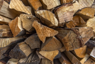 Close-up of firewood stacked for winter. Bellevue, Idaho, USA.