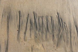 Abstract patterns on beach sand. , Guanacaste, Costa Rica.