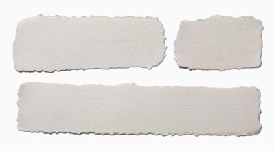 Pieces of torn paper on white background. New York City, New York State, USA.