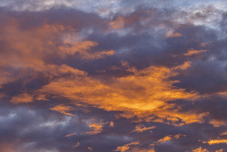 Golden clouds against sky at sunrise, Kettleman City, California, USA.