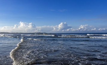 Puffy clouds above calm sea at dawn, Playa Grande, Guanacaste, Costa Rica.