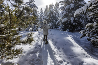 Rear view of woman snowshoeing in Winter landscape, Sun Valley, Idaho, USA.