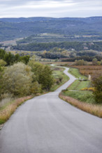 Empty country road in landscape, Gordes, Vaucluse, France.