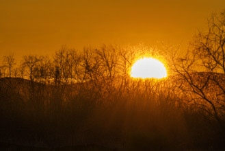 Sun setting over hills and trees, Bellevue, Idaho, USA.
