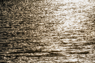 Sunlight reflected in rippled water surface, Bellevue, Idaho, USA.