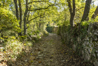 Old stone wall and empty footpath, Bonnieux, Vaucluse, France.