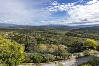 Road and green fields in Luberon Valley, Gordes, Vaucluse, France.
