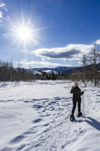 Rear view of senior woman snowshoeing in Sun Valley, Sun Valley, Idaho, USA.