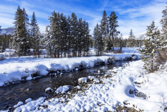 Shallow river in winter landscape, Sun Valley, Idaho, USA.