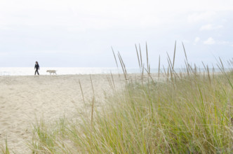 Woman and her dog walking on beach, Nantucket, Massachusetts, USA.