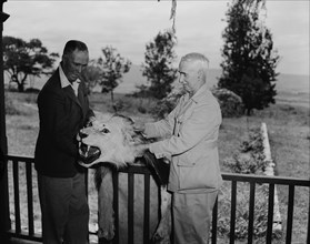 Clifford and Harold with lion skin. Clifford and Harold Hill holding up a lion skin. Kenya, 9
