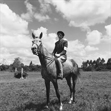 Novice rider. Female rider number seven on horseback competing in the class 4 novice category of