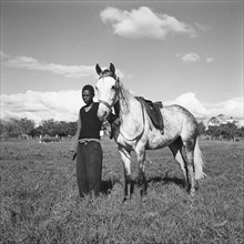 Fosdick's horses. An African man stands with one of Fosdick's horses at the Kuwinda horse show.
