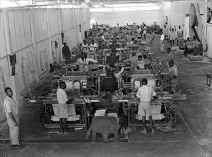 Weaving sisal. Factory workers operate weaving machines at Sisal Products Ltd. Grown commercially