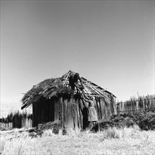 Building a hut. A woman reaches up to pass straw to a man who is thatching the roof of a