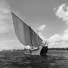 Dhow at sea. A small dhow sailing off the coast of Zanzibar (now Tanzania) in the Indian ocean.