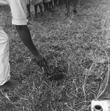 Dipping branches. A man's arm dips branches into a bowl on the ground at a cleansing ceremony.